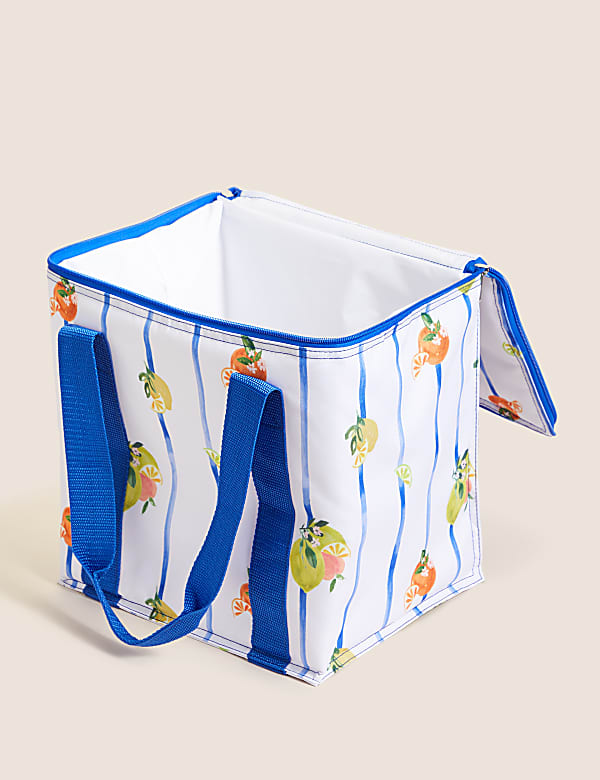 Summer Fruits Collapsible Picnic Cool Bag - RS