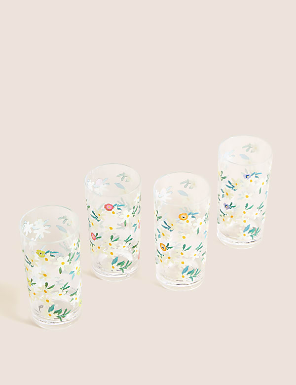Set Of 4 Expressive Floral Picnic Highballs - BE