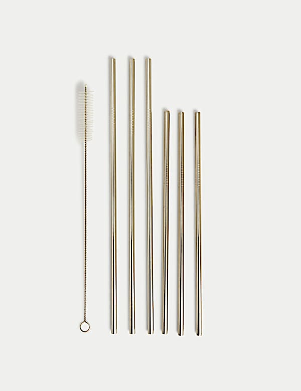 Set of 6 Reusable Stainless Steel Straws - KG