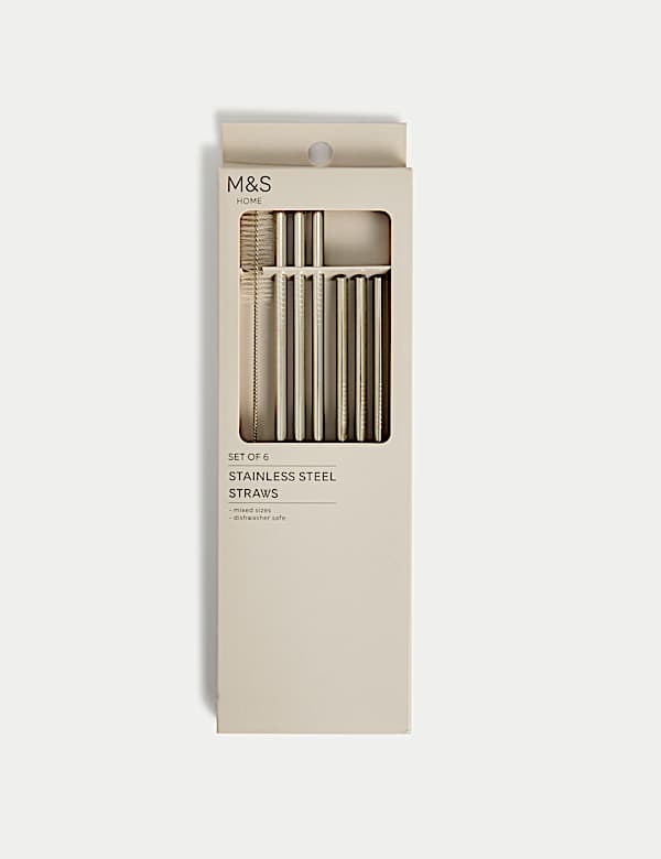 Set of 6 Reusable Stainless Steel Straws - CA