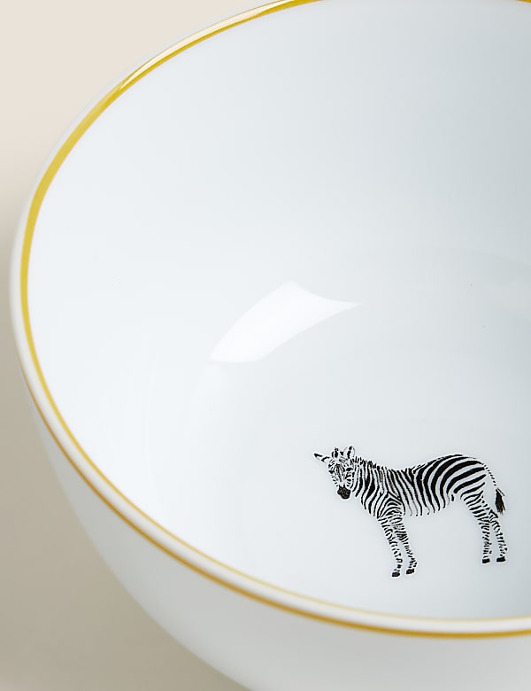 12 Piece Zebra Dinner Set