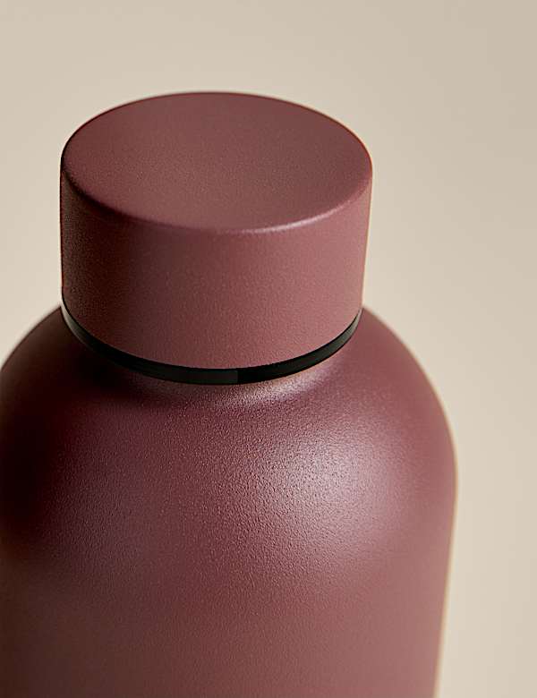 Stainless Steel Water Bottle 500ml - JP