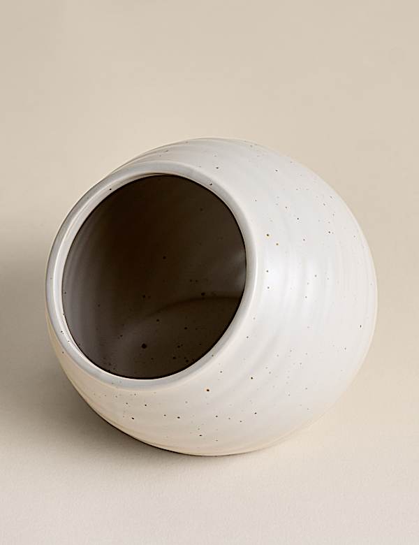 Ceramic Salt Pig - IL