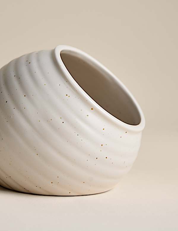 Ceramic Salt Pig - IL