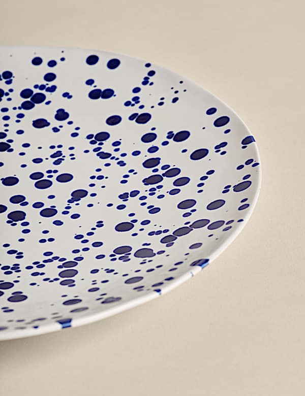 Schotel met verfspetters - NL