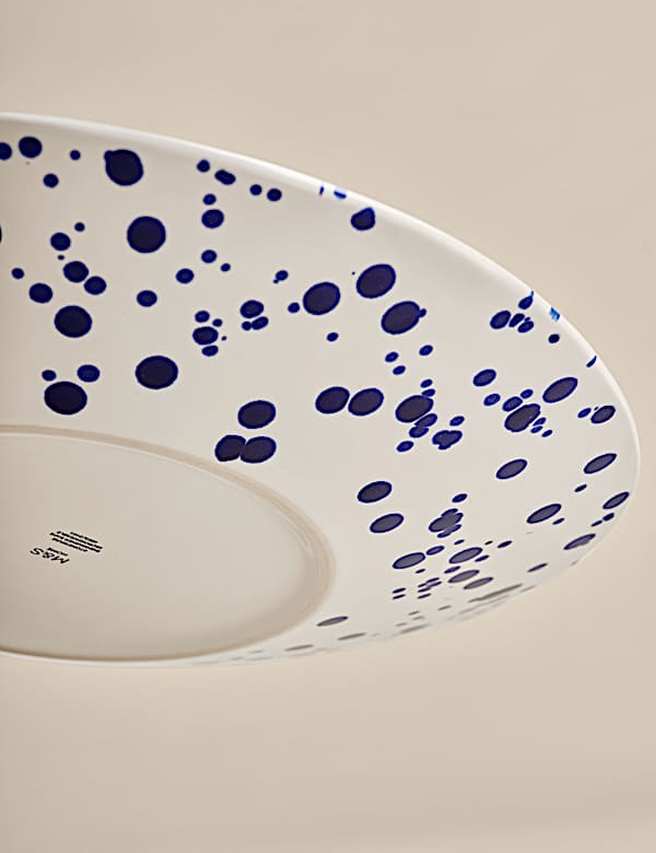 Schotel met verfspetters - NL