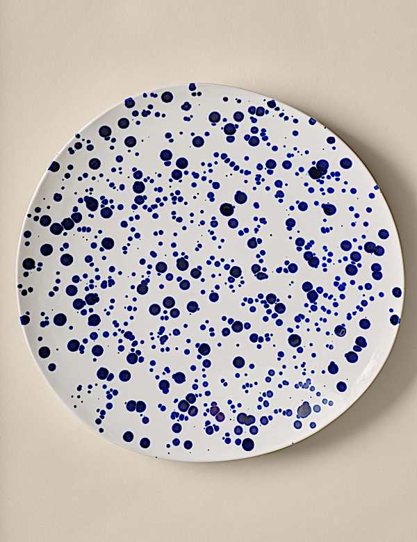 Schotel met verfspetters - NL