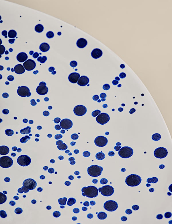 Schotel met verfspetters - NL