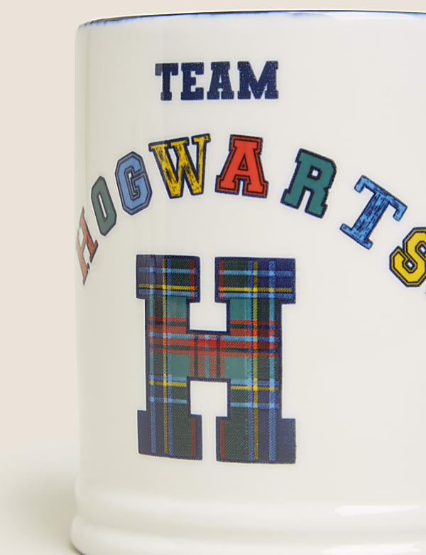 Harry Potter™ Mug
