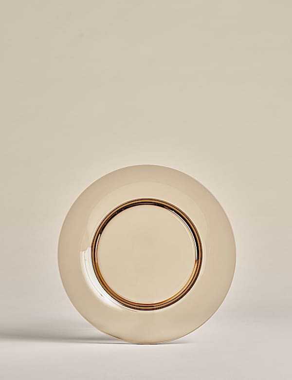 Set of 4 Picnic Dinner Plates - AL