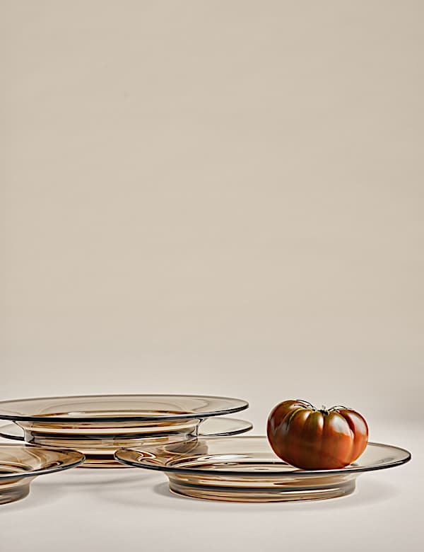 Set of 4 Picnic Dinner Plates - AL