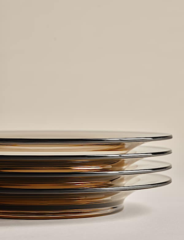 Set of 4 Picnic Dinner Plates - AL