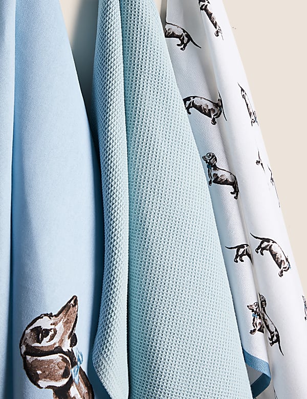 &Pi;&epsilon;&tau;&sigma;έ&tau;&epsilon;&sigmaf; &kappa;&omicron;&upsilon;&zeta;ί&nu;&alpha;&sigmaf; &mu;&epsilon; &sigma;&chi;έ&delta;&iota;&omicron; &sigma;&kappa;&upsilon;&lambda;ά&kappa;&iota;-&lambda;&omicron;&upsilon;&kappa;ά&nu;&iota;&kappa;&omicron;, &sigma;&epsilon; &sigma;&epsilon;&tau; &tau;&omega;&nu; 3 - GR