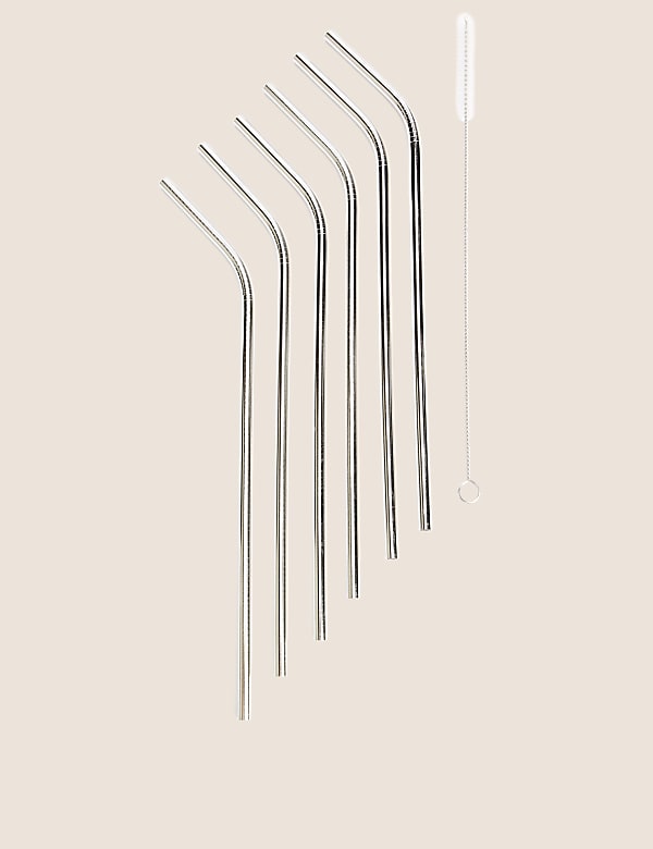Set of 6 Reusable Straws with Brush - IT