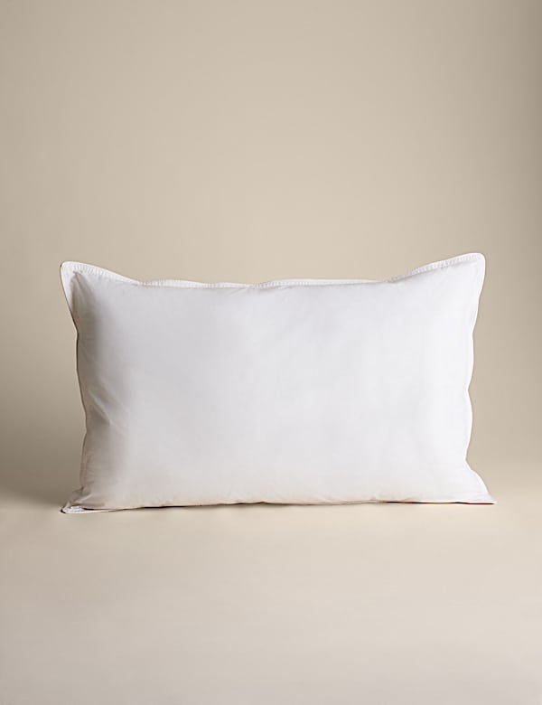 2pk Ultimate Comfort Soft Pillows - FI