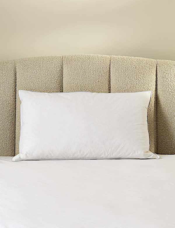 2pk Deluxe Hungarian Goose Feather & Down Soft Pillows - US