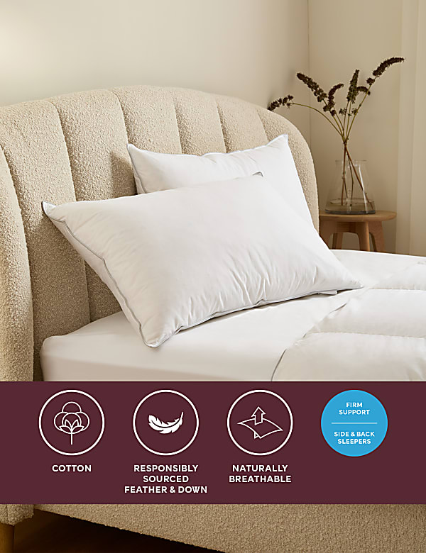 2pk Deluxe Hungarian Goose Feather & Down Firm Pillows - RO