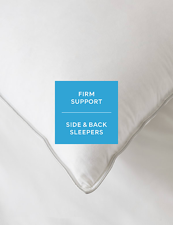 2pk Deluxe Hungarian Goose Feather & Down Firm Pillows - CY