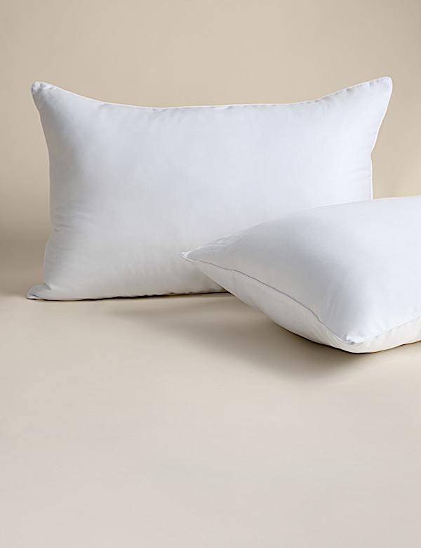 2pk Luxury Down Alternative Firm Pillow - CZ