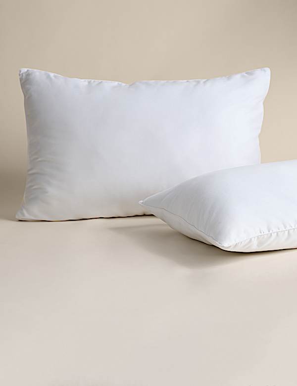 2pk Luxury Down Alternative Soft Pillows - CZ
