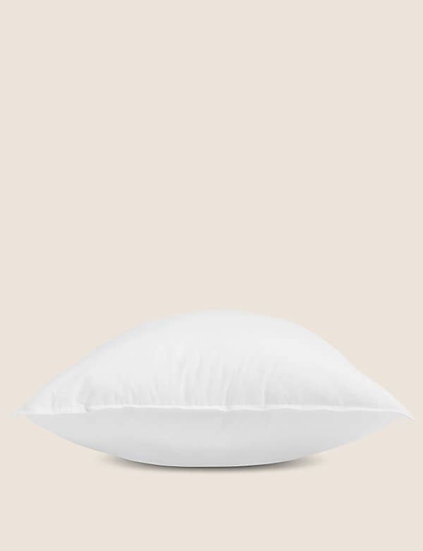 2pk Firm Anti Allergy Plus Pillows - RO