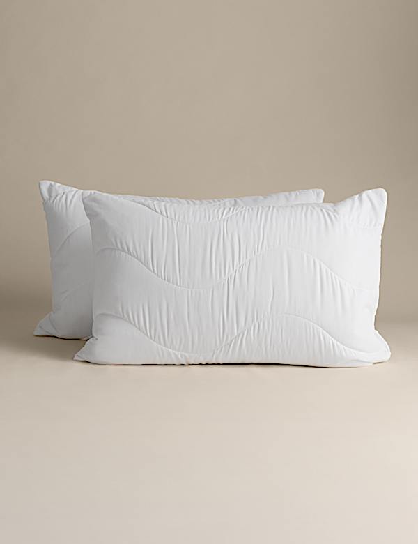 Chytr&eacute; protialergick&eacute; chr&aacute;niče pol&scaron;t&aacute;řů pro pran&iacute; a su&scaron;en&iacute;, 2 ks - CZ