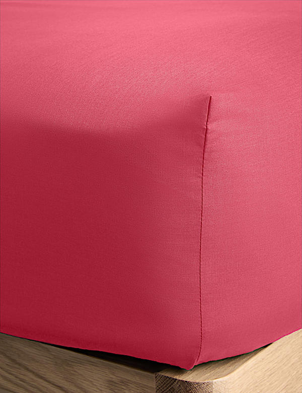 Cotton Rich Fitted Sheet - BN