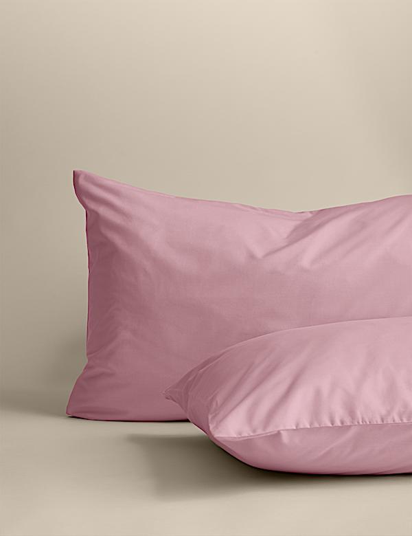 2 Pack Cotton Rich Pillowcases - CZ