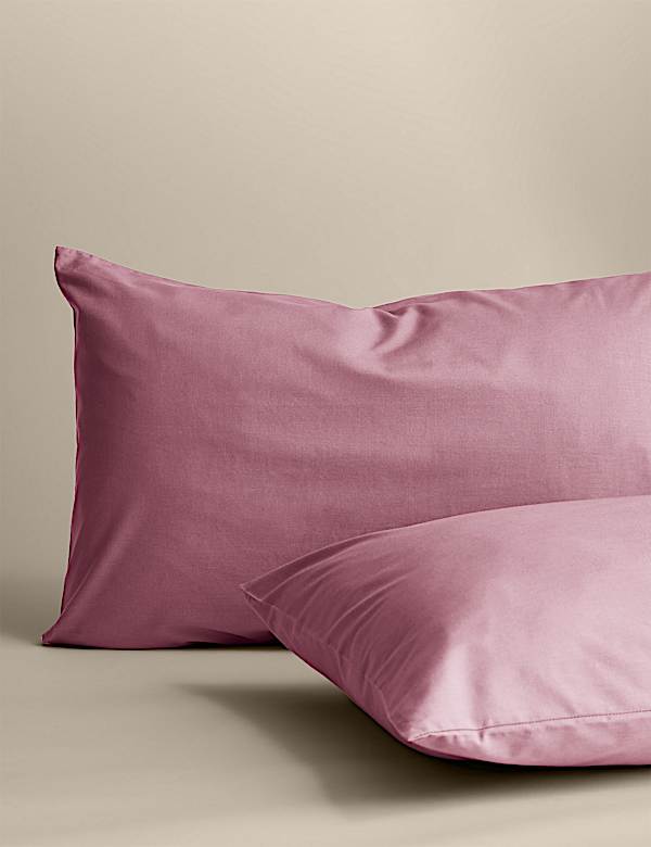 2 Pack Cotton Rich Pillowcases - DK