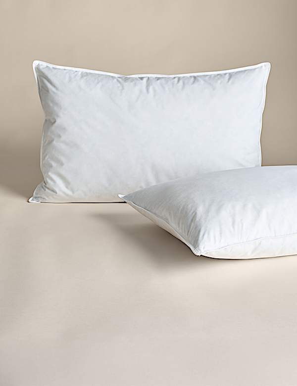 2pk Goose Feather & Down Soft Pillows - RO