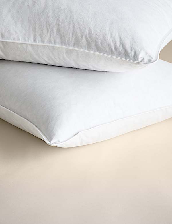 2pk Goose Feather & Down Firm Pillows - CZ