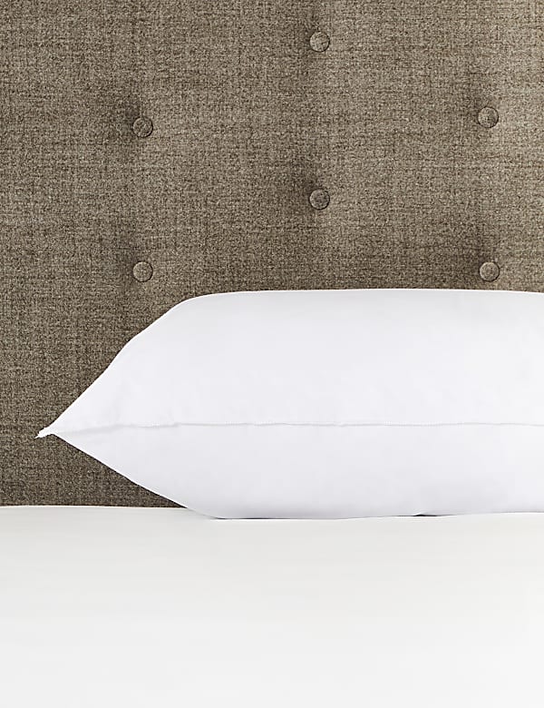 Comfortably Cool Medium Pillow - CZ