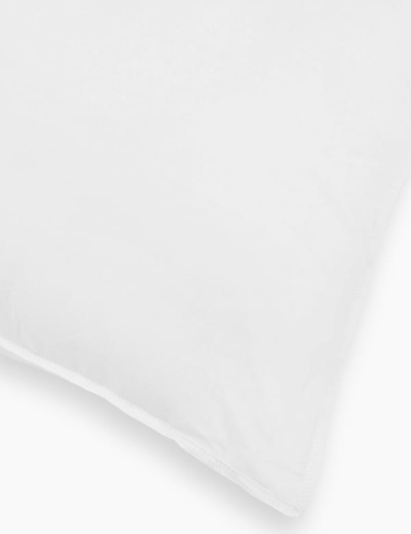 Comfortably Cool Medium Pillow - CZ