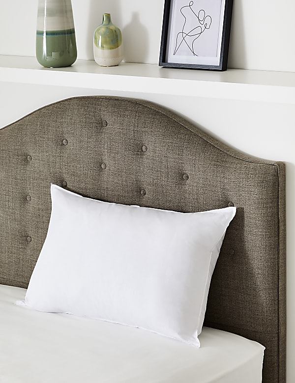 Comfortably Cool Medium Pillow - CZ