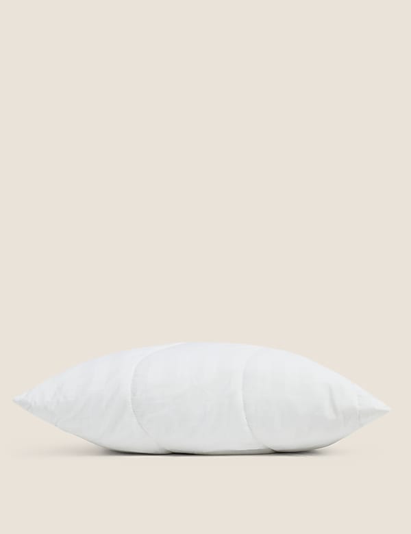 Touch of Silk Pillow Protector - FR