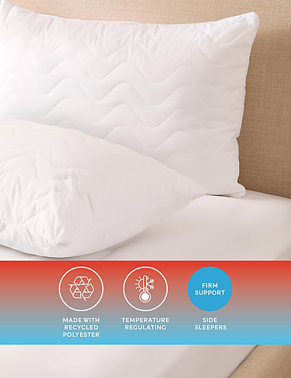 2pk Body Temperature Control Firm Pillows - CY