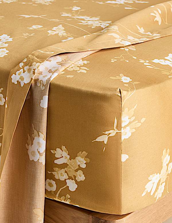 Pure Cotton Sateen Cherry Blossom Deep Fitted Sheet - SK