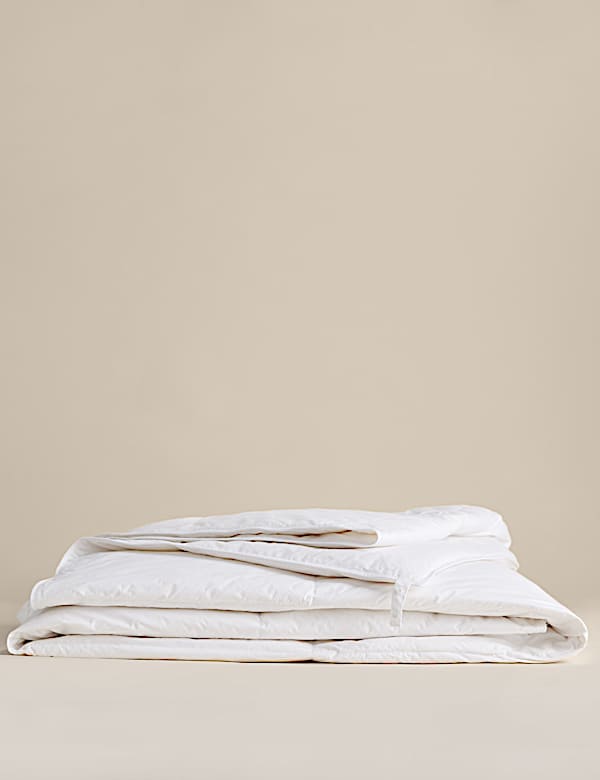 Duck Feather & Down 2.5 Tog Duvet - FI
