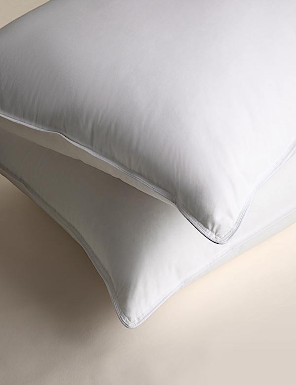 2pk Duck Feather & Down Firm Pillows - CZ