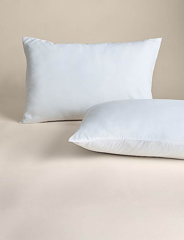 2pk Warm & Toasty Medium Pillows - RO