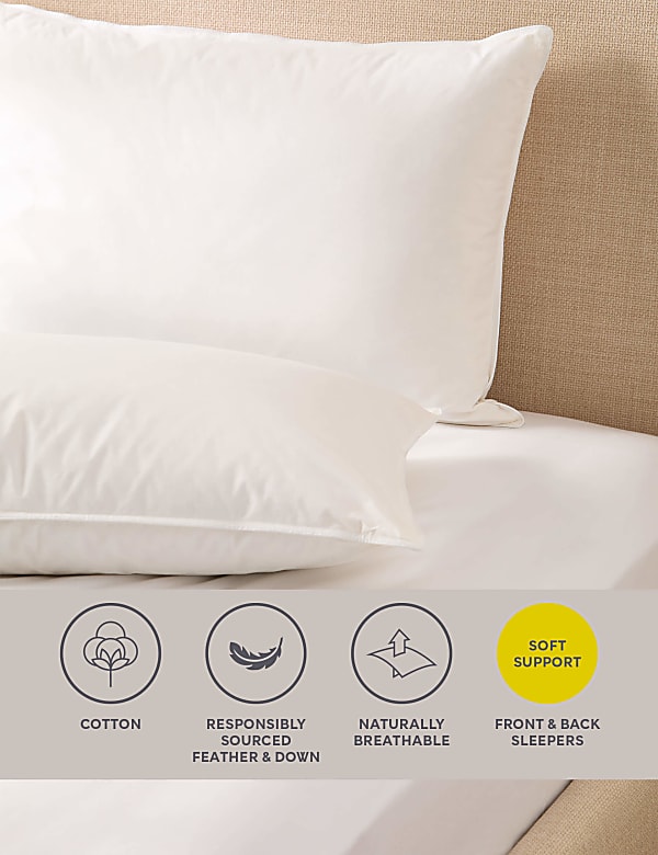 2pk Duck Feather & Down Soft Pillows - GR