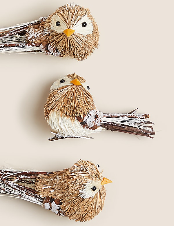 3pk Robin Decorations - EE