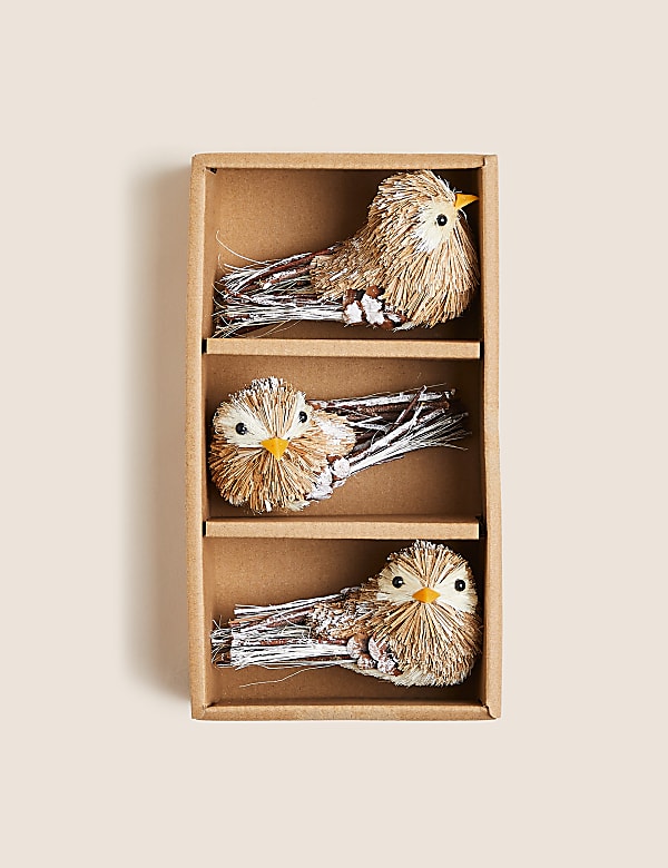 3pk Robin Decorations - EE