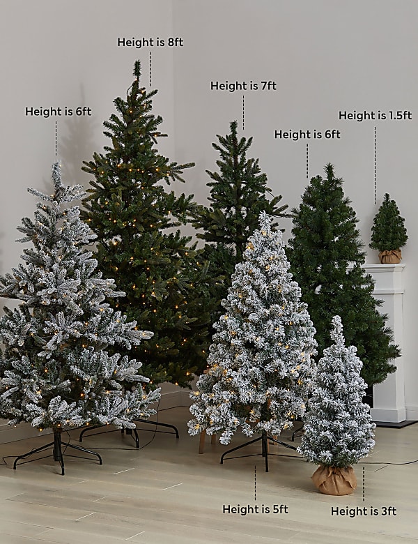 6ft Spruce Christmas Tree