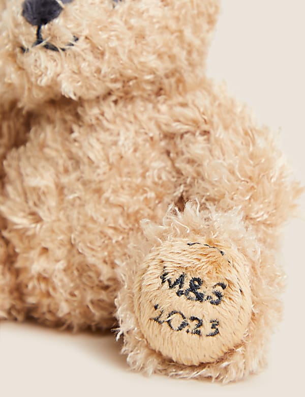 Spencer Bear™ Hanging Decoration - NZ