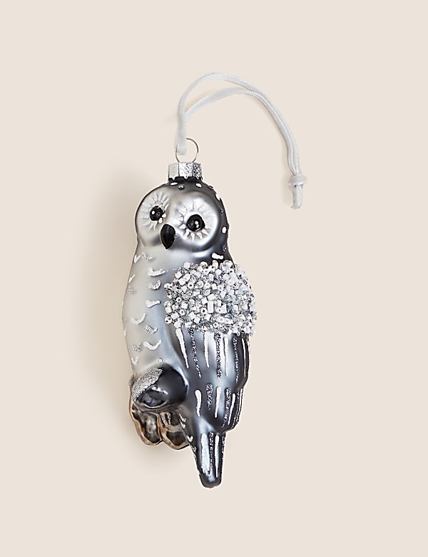 Silver Hanging Glass Owl Decoration - TW
