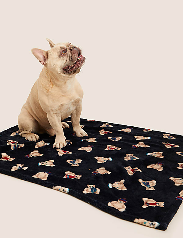 Spencer Bear™ Pet Blanket - KG