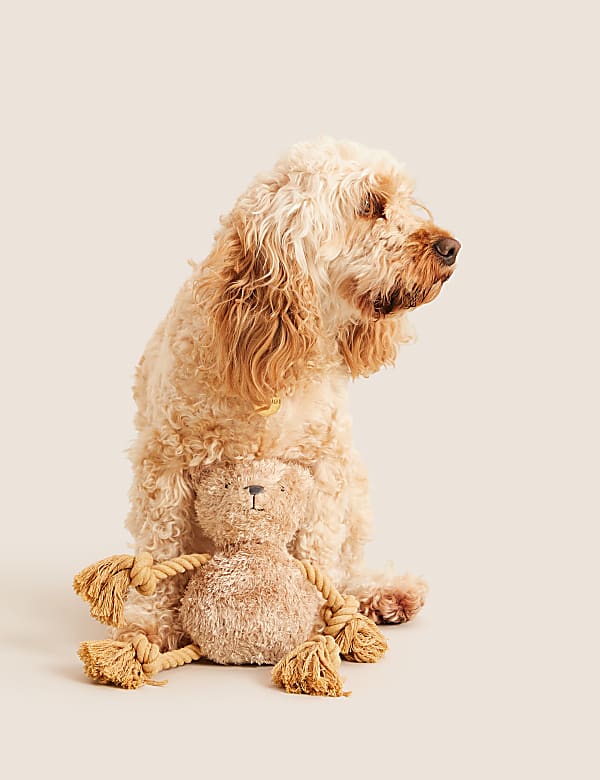 Spencer Bear™ Rope Pet Toy  - BH