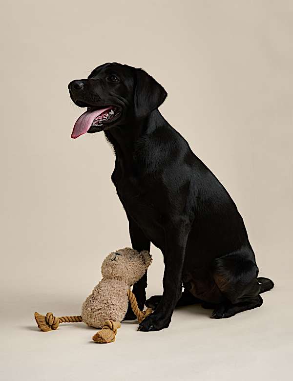 Spencer Bear™ Rope Dog Toy  - LV