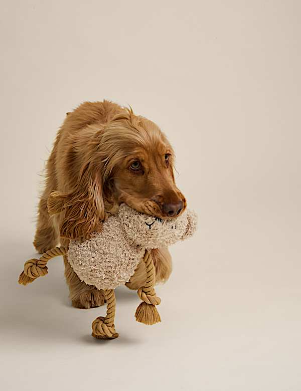 Spencer Bear™ Rope Dog Toy  - LV